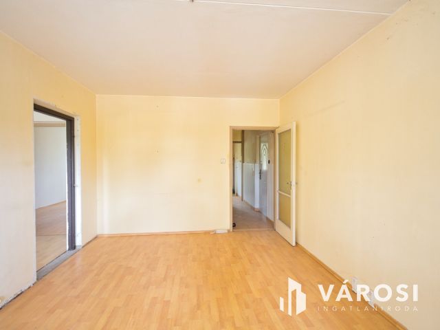 Szegeden a Vértónál, madárcsicsergős panel ajánalat.