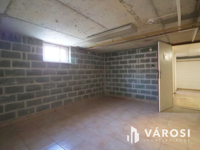 Nagy családi ház 2 lakóegységgel