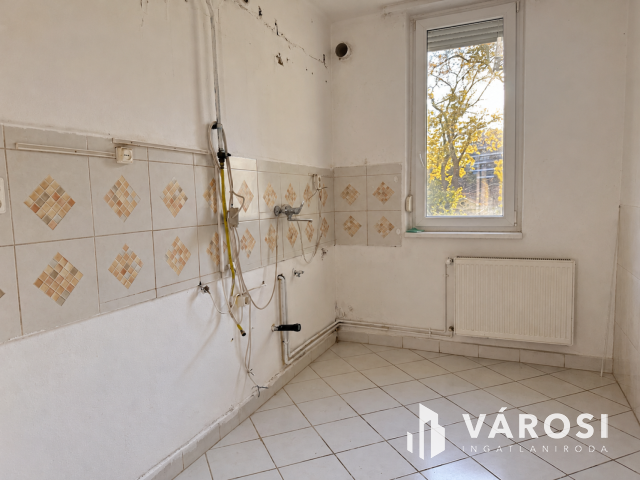 Kivételes lehetőség a Nagyerdőn, az egyetem közelében!